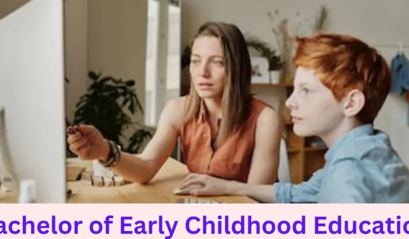bachelor of early childhood education