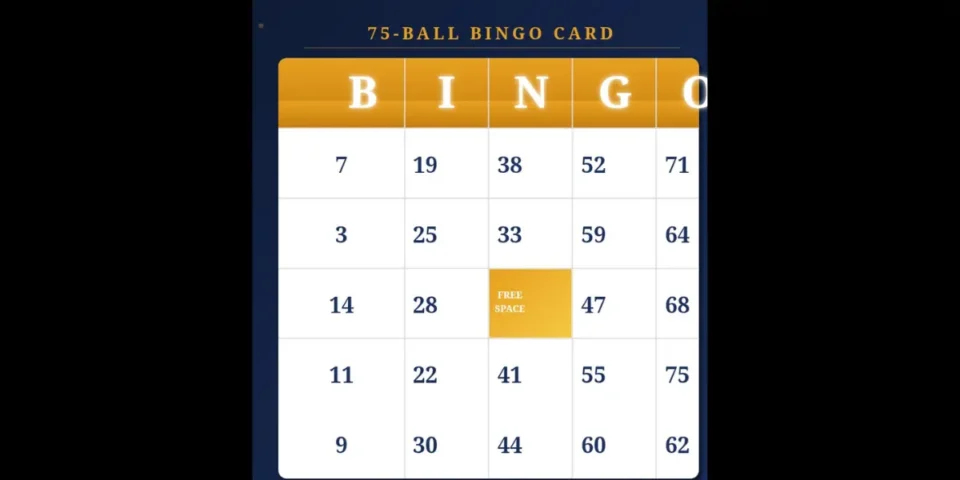 Bingo Frenzy Card